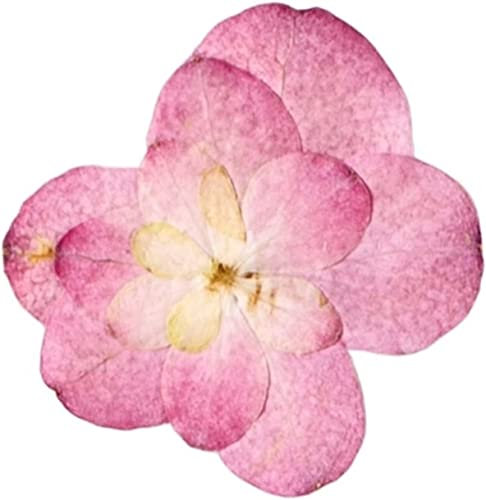 Natürliche Getrocknete Blumen Pflanzen DIY Schmuck Handwerk Hauptdekorationen, Gepresste Getrocknete Natürliche Rosa Doppel Blütenblatt Hortensie Herbarium Blume Epoxidharz Make-up Gesicht Nail art