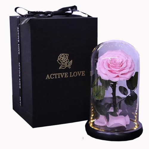 ZEYRU Prince Konservierte frische Rose in Glaskuppel, Heim-/Innendekoration, Muttertag, Valentinstag, Feiertag, Blumengeschenk – mit Geschenkbox, mit Licht