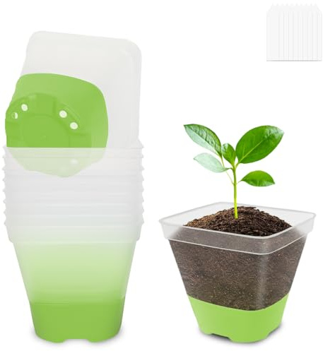 BEIUEN Lot de 10 pots de culture, transparents, de 8 cm, avec base en silicone, en plastique, réutilisables, pour plantes succulentes, graines