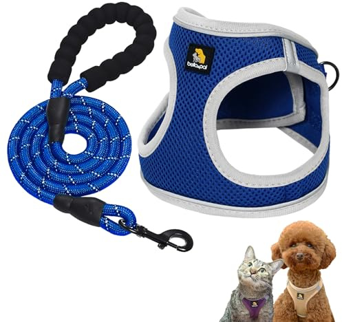 BELLA & PAL Hundegeschirr Kleine Hunde mit Nylonseil Leine, Step-in Geschirr aus Air Mesh, Anti Zug Reflektierend Atmungsaktiv Brustgeschirr, Welpengeschirr für Kleine Hunde, Katzengeschirr, S