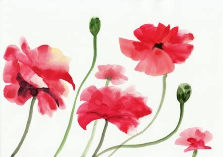 Acryl-Bild 90 x 60 cm: Ursprüngliche Kunst, Aquarellmalerei von roten Mohnblumen(17159545)