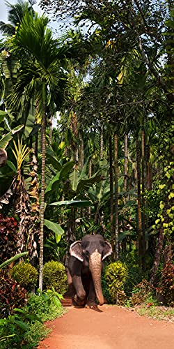 wandmotiv24 Türtapete Elefant unter Palmen, Tier, Palme, Wald 70 x 200cm (B x H) - Selbstklebende Strukturtapete Sticker für Türen, Türfolie, Aufkleber, M1343