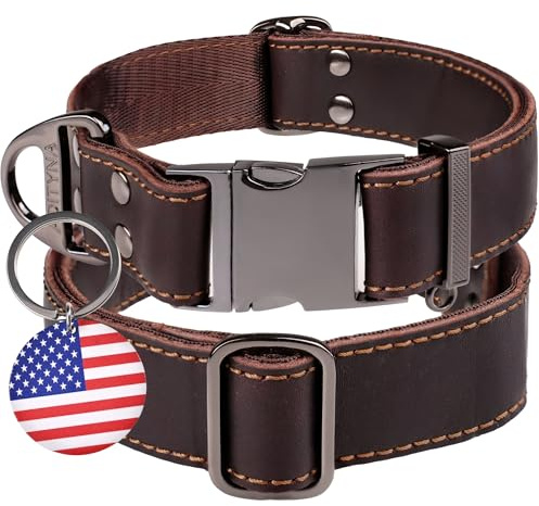 ADITYNA Collar de Cuero para Perro con Hebilla de Metal, Resistente, Ajustable para Perros Grandes y extragrandes, para Caminar y Entrenar (Color marrón, se Adapta a cuellos de 19 a 30 Pulgadas)