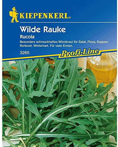 Kiepenkerl Rucola 'Wilde Rauke',1 Portion