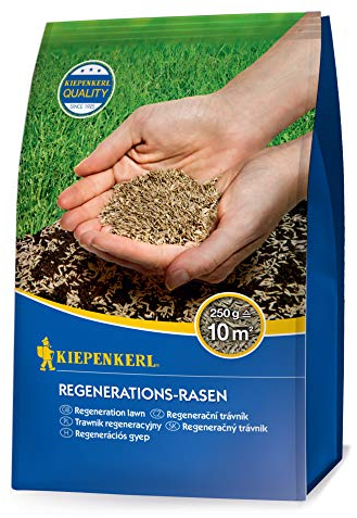 Kiepenkerl Regenerations-Rasensamen 651005, 0,25 kg - Hohe Regenerationsfähigkeit, schnelle Keimung, ideal für Rasenreparatur, robust und keimstark