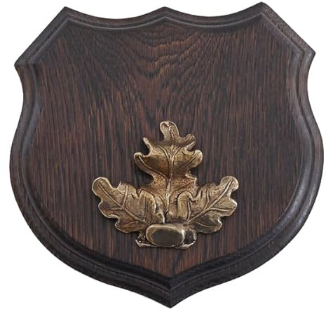 1 x Plaque de trophée de sanglier en forme de blason, AF 17 cm, avec plaque de couverture en feuille de chêne massive + grande