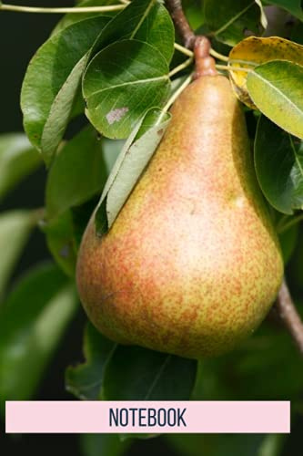 Pear Tree Notebook: blank lined composition journal | Pear Tree notebook | 100 pages