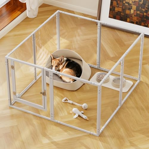 Homelio Acrylic Dog Pen, Puppy Play pen with Door, H:60cm Puppy pen for Indoor/Outdoor, Metal Frame Pet Fence, Durable and Easy to Clean, Transparent For Small Dogs,Kitten,Cats (8, White)