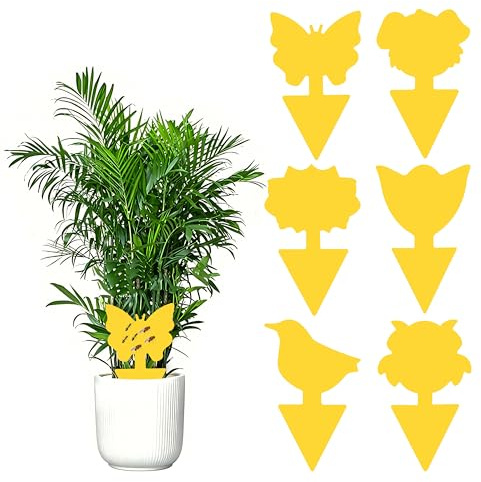 Xcdhemde® Trampas Adhesivas para Plantas 60 Piezas | Amarillas contra Mosquitos, Pegatinas Trampas Adhesivo de Doble Cara, Adecuado para Plantas de Interior - 6 Patrones