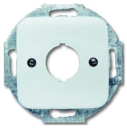 Busch-Jaeger 2533-214 Zentralscheibe