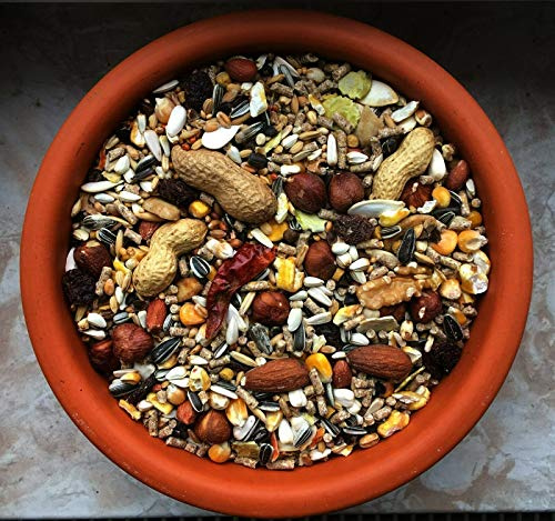 cura-canin 10 kg natürliches Eichhörnchen Futter in Premium Qualität Eichhörnchenfutter der Spitzenklasse Streufutter Futterhaus