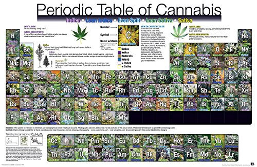 Close Up Periodic Table of Cannabis Periodensystem der Hanfsorten (91,5cm x 61cm) + 2 St. transparente Posterleisten mit Aufhängung