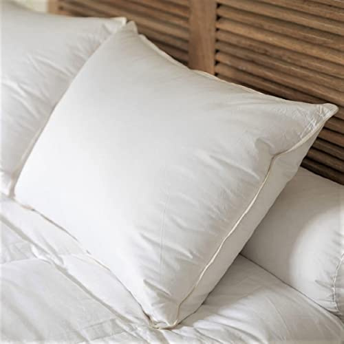 CASTEX - Oreiller Moelleux Duvet/Coton Bio 50x70