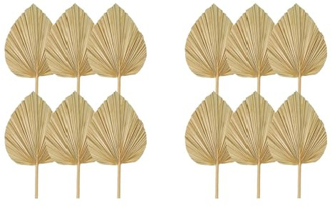 Remingtape 12 hojas de palma secas naturales, abanicos de palma secas naturales, lanza de palma grande para decoración de bodas bohemias, decoración de hojas de palma tropicales S
