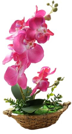 Generico 1 Pezzo Orchidee Bianche Artificiali in Vaso Simulazione Viola in Vaso Orchidea Farfalle Composizione Floreale Decorative Arredamento per la Casa Orchidea Verde 27 cm (rosa rosso)