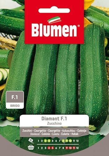 SEMI ZUCCHINO DIAMANT F1 BLUMEN SEMENTI ORTO