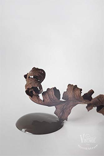 Jeanne d´arc living Jeanne d'Arc Living Vintage Paint Kreidefarbe Chocolate Brown 700011E ECO Label Wasserbasiert und Umweltfreundlich 700 ml/23,6oz Chalk Kalkfarbe JDL Malen