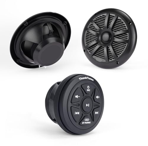 ThundrTunes Impianto stereo marino con altoparlante (nero) 2 canali Amp AUX USB per barche, golf cart powersports veicoli UTV ATV camion