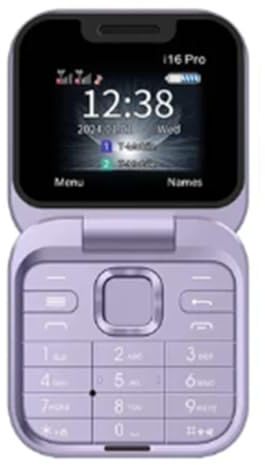 Marran Mini TeléFono MóVil con Tapa Radio FM Negra de Voz MarcacióN RáPida VibracióN Tarjeta 2SIM Pantalla PequeñA TeléFono Plegable (PúRpura)