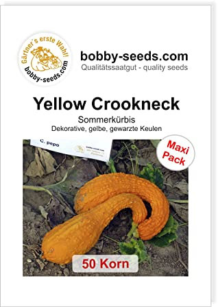 Bobby-Seeds Kürbissamen Yellow Crookneck 50 Korn