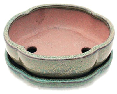 exotenherz Bonsai-Schale mit Unterteller Gr. 3 Oliv-Braun haitang/oval Modell I5 L 17cm B 14cm H 5,5cm