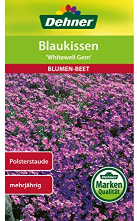 Dehner Blumen-Saatgut, Blaukissen Whitewell Gem, 5er Pack (5 x 0.5 g)