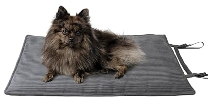 HS-Hundebett Made in Germany Outdoor Hundedecke, robuste & wasserfeste Reise-Hundedecke I waschbar bei 40° - mit 3 cm Vlies-Füllung (Cord Anthrazit, 55x75 cm)