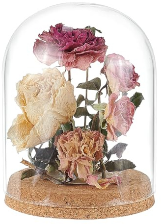 BENECREAT 12.5x16.5 cm Glaskuppelglocke, Glasglocke Mit Korkboden, Glasflaschen Dekorative Gläser Für Blumenpflanzen, Proben, Basteldekorationen, ID: 11.6cm