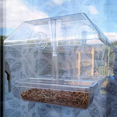 Wiggly Wigglers Window Bird Feeders With Strong Suction Cups And Removable Seed Tray For Small Birds Clear Birdfeeder Unique Gardening Gifts (Feeder + 120g Live Mealworms)
