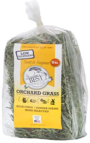 Grandpa's Best Orchard Grass Bale, 5 lbs,green