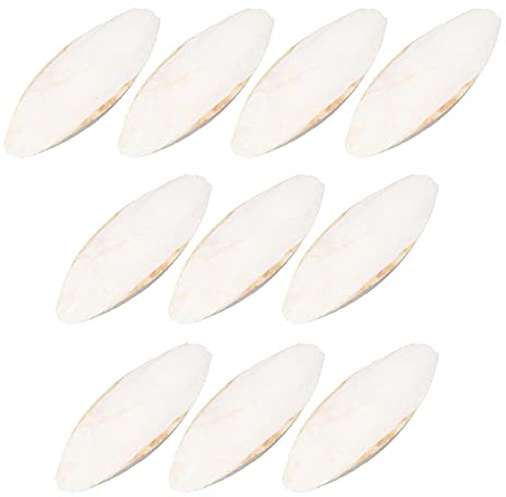sepiaschalen für schildkröten vogelfutter Vogel-Cuttlebone, natürliche Vögel, die Tintenfischknochen kauen für Vögel Papageien Wellensittiche Nymphensittiche Kakadus Eichhörnchen Hamster