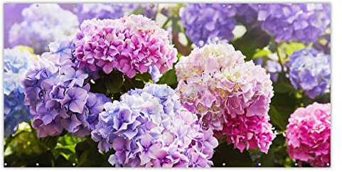 MuchoWow® Balkon Sichtschutz Sichtschutzmatte Balkonbanner Abdeckung für Terrasse Balkon Windschutz Blickdicht Wetterfest 300x130 cm Blumen - Hortensie - Rosa - Blätter - Sonne
