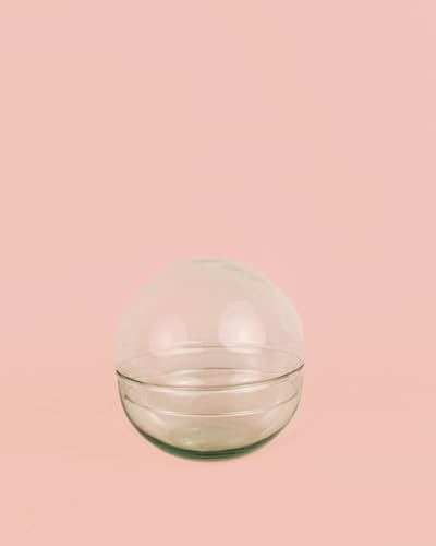 Domo Mini Bol Terrario 12x12cm | Terrario Cristal | Pur Plant