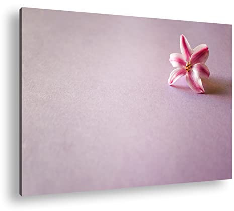 deyoli Hyazinthen-Blüte Format:90x60 cm als Leinwandbild, Motiv fertig gerahmt auf Echtholzrahmen, Hochwertiger Digitaldruck mit Rahmen