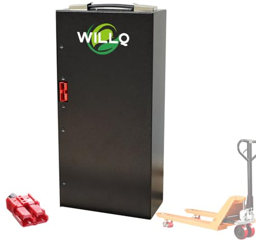 WILLQ Batterie Lithium-ION 48 V, 10 Ah, 15 Ah, 20 Ah, pour Chariot élévateur électrique CBD15/18-TLI, avec BMS, pour Moteur 250 W, 500 W, 750 W, 1 000 W,48v10ah