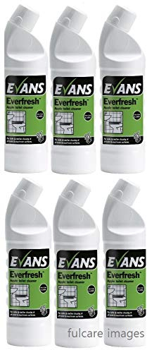 Evans Everfresh Apple Toilet and Washroom Cleaner Urinal Cleaner 6x 1ltr