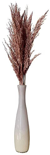 Pampasgras Ziergras Getrocknet Altrosa Natur Bund Trockenblumen Deko Gras 80cm