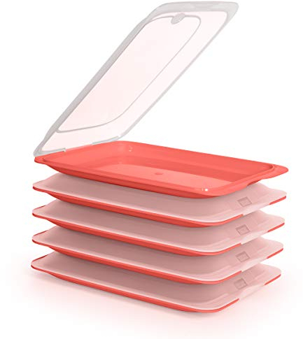 Porta Embutidos y Alimentos Sistema Fresh, Conservación Optima de Lonchas en Nevera, Medidas 25.2 x 17 x 3.2 cm (4X Practic)