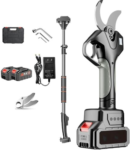 XUXIAO Tijeras de podar Extensibles para árboles, Tijeras de podar eléctricas inalámbricas de 980 W, con 2 baterías de Litio y Poste de extensión, para podar árboles frutales, jardinería y viñedos