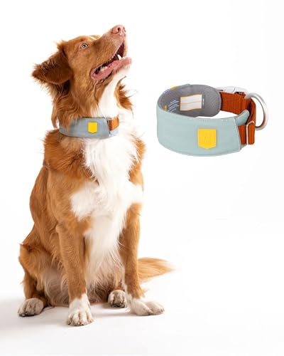 Woolly Wolf Alpha 360 Halsband für mittelgroße Hunde Gr. M Gletschergrün - Nachhaltig & bequem, Reflektierend für erhöhte Sicherheit bei schlechter Sicht