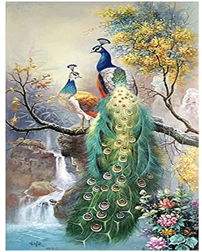 DCIDBEI Square Diamond Painting Vollbedeckung Painting Set Bild 40x50cm Diamant Malerei Stickerei Basteln Mosaik Steine Malen nach Zahlen Diamond Painting Eckige Steine Blumen Tiere Pfau Box
