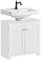 SoBuy Meuble sous-Lavabo, Meuble sous-Vasque, Meuble sous Evier Salle de Bain, avec 2Etagères et 2 Portes, Meuble de Rangement de Salle de Bain, Anti-Humidité, Blanc, L60xP30xH60cm, BZR18-II-W