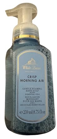 Bath & Body Works Foaming Hand Soap 8.75oz & 259ml (Crisp Morning Air)