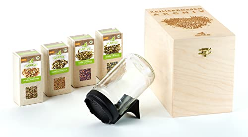 FLORTUS BIO Keimsprossen Archiv Geschenkbox - inkl. 4x Sprossen Mix | Fitness, Helden, Power & Pikante Mischung | Geschenkset mit Sprossenglas | Keimsprossenbox Holzbox mit Deckel