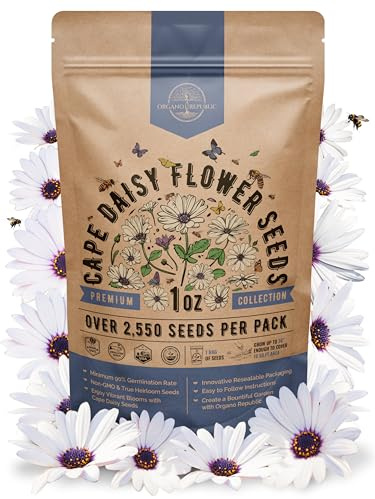 Cape Daisy Flower Seeds Pack 1 oz - Over 2,550 Non-GMO Heirloom Cape Daisy Seeds for Planting, Perennial Flowers in Individual Seed Packet, Seed for Planting Home Garden Indoor & Outdoor Gardening