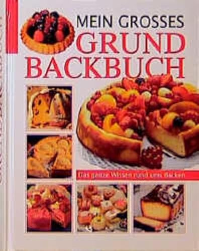 Mein grosses Grundbackbuch: Das ganze Wissen rund ums Backen: Das ganze Wissen rund ums Backen. Ca. 500 Backrezepte