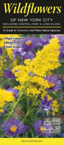 Wildflowers of New York City, incl. Central Park & Long Island: A Guide to Common & Rare Native Species