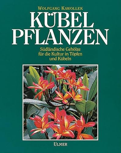 Kübelpflanzen: Südländische Gehölze für die Kultur in Töpfen und Kübeln
