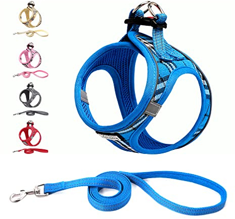 Suredoo Hundegeschirr Kleine Hunde mit Leine, Anti Zug Geschirr Reflektierend Atmungsaktiv Brustgeschirr, Welpengeschirr für Kleine Hunde (Blau Kariert, XXS, Brust: 22-24cm)