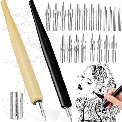 WiDream Federhalter und Halter Set mit 2 Federhalter 20 Federn Comic Stiftspitzen Set Kalligraphie Tauchstift Zeichenfeder Schönschreibfüller Schreibfeder Stifthalter Kalligrafie Set für Künstler